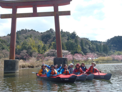 120407kame (252).jpg