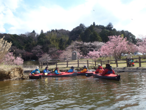 120407kame (264).jpg