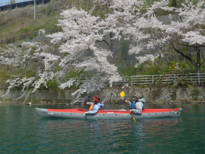 140428半日ｶﾇｰ①ba (51).jpg