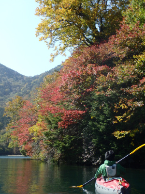 151009中禅寺湖視察 (20).jpg