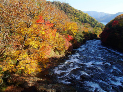 2012.10.16中禅寺湖視察 (226).jpg