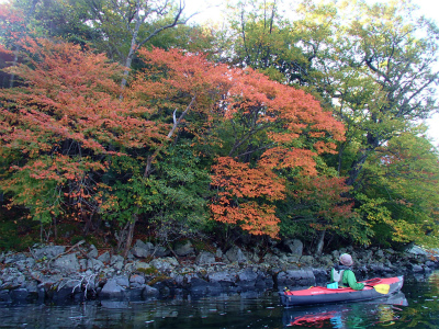 2012.10.16中禅寺湖視察 (55).jpg