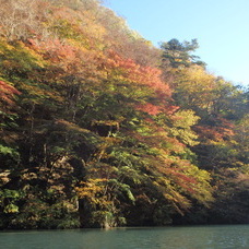 11月8日　みなかみカヌーツアー　のりPのイメージ