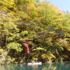 11月3日　四万湖カヌーツアー　RYUのイメージ