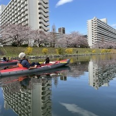 3月27日　スカイツリーお花見カヌーロングツアー　HIDEのイメージ