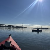 11月22日　都会で楽しむカヌーツアーのイメージ