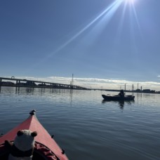 11月22日　都会で楽しむカヌーツアーのイメージ