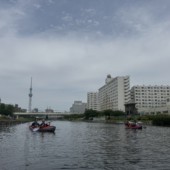 5月31日　都会で楽しむカヌーツアーのイメージ